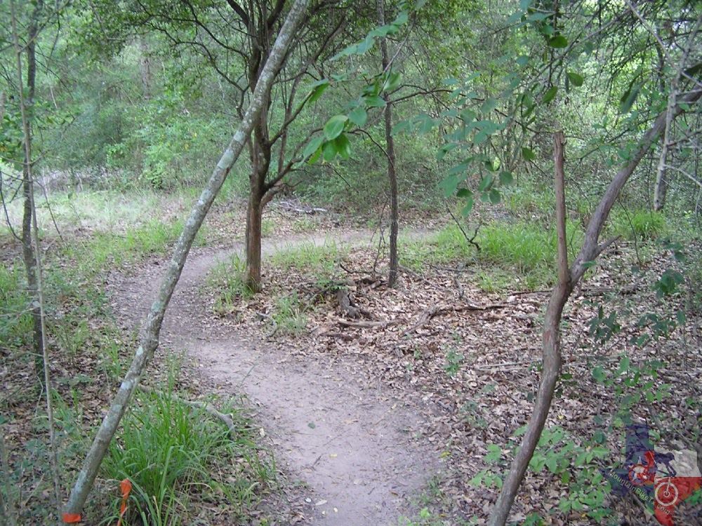 Lake Bryan Park, Bryan